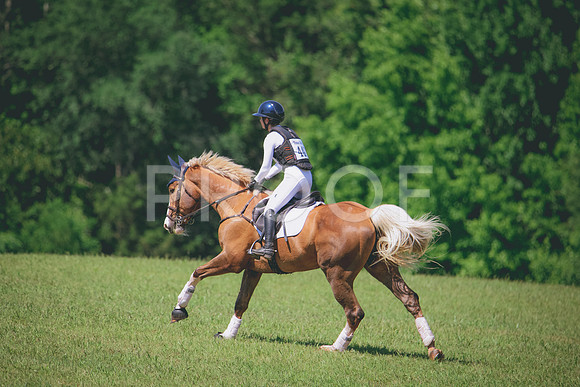 RWP_6477