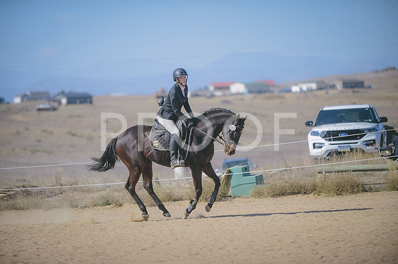 JJS_6856