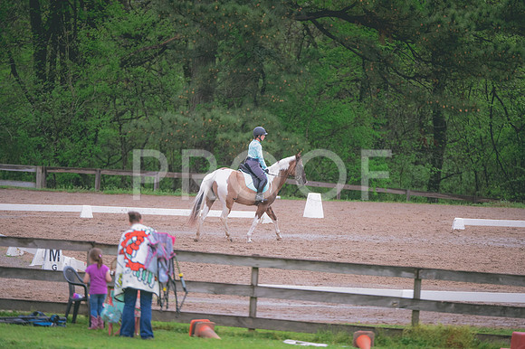 JJS_2741