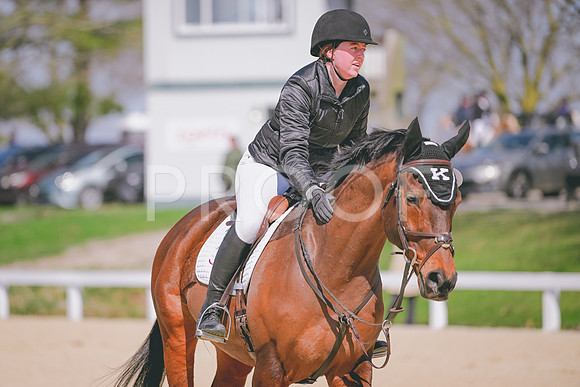 MEI_4241