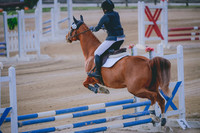 JJS_1176