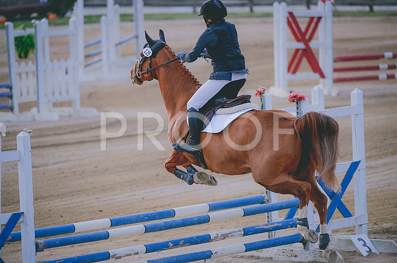 JJS_1176