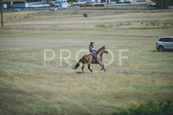 JJS_0799