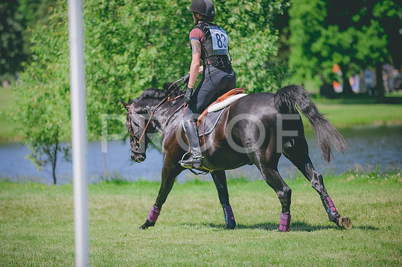 JJS_6152