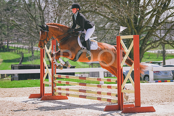 MEI_5532
