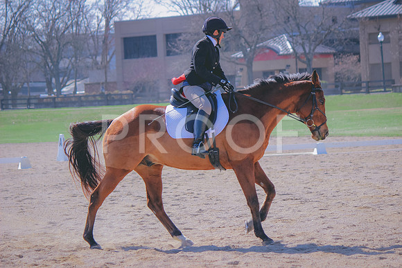 Canon EOS REBEL T3i (2622)