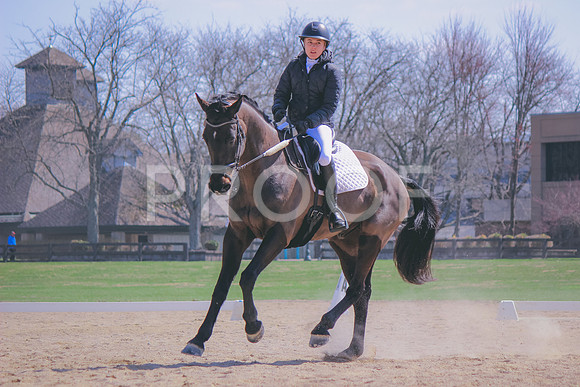 Canon EOS REBEL T3i (9676)
