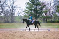 3T5A0096