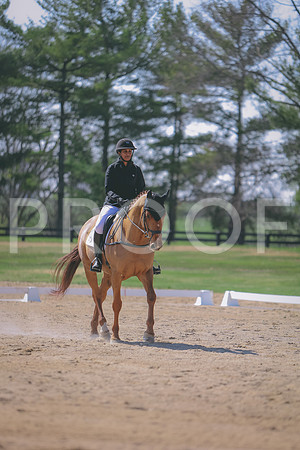 3T5A0153