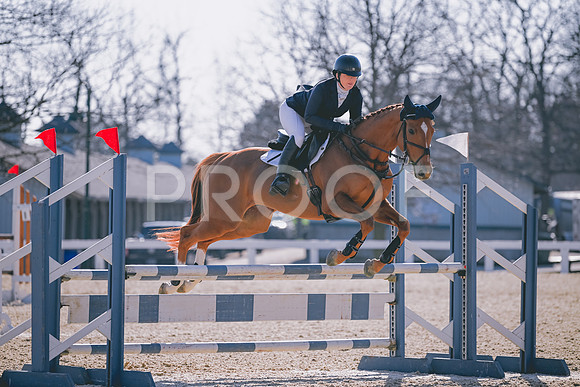 MEI_8232
