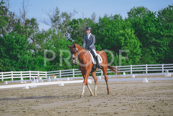 TMD_1825
