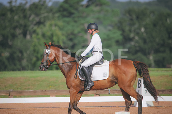 RWP_4449