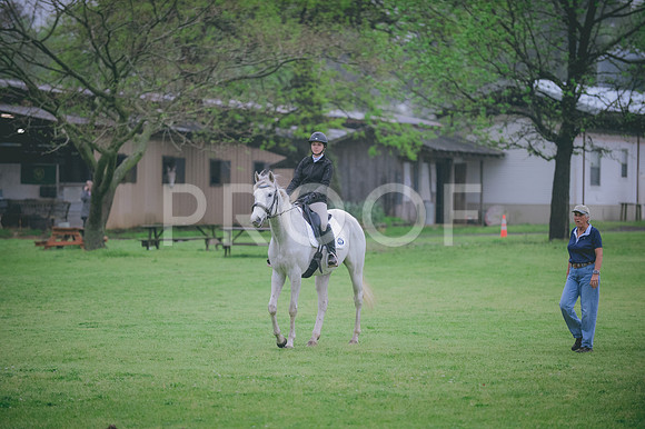 JJS_7706