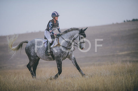 JJS_4036