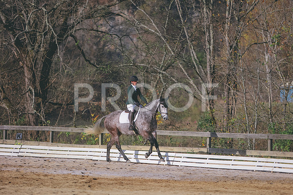 3T5A0199