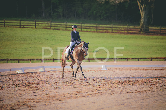 RWP_2959