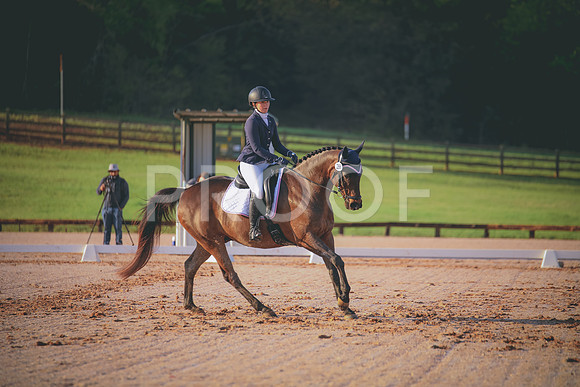 RWP_2966