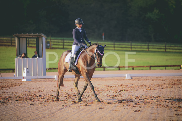 RWP_2962