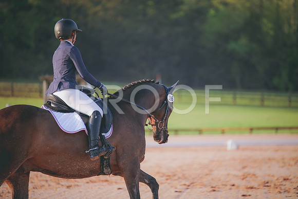RWP_2969