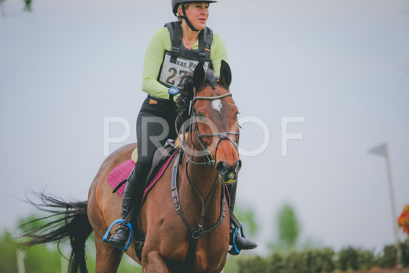 RWP_5352