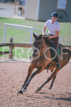 JJS_7163