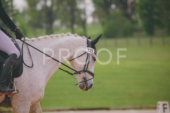 RWP_3494