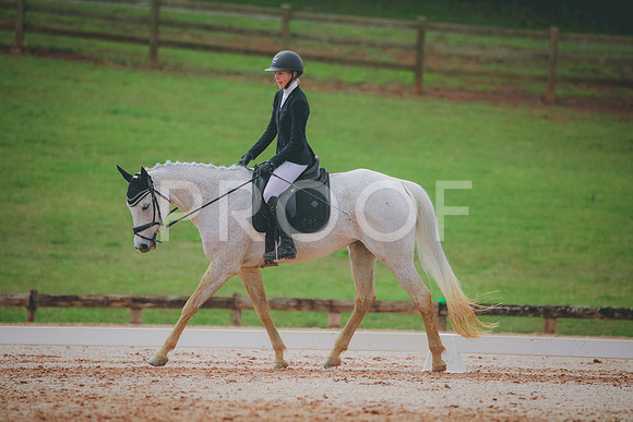 RWP_3495