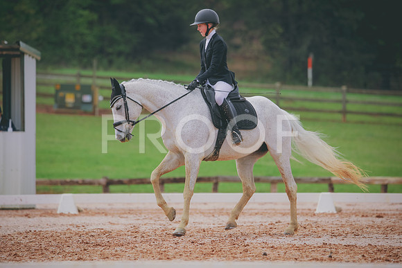 RWP_3499