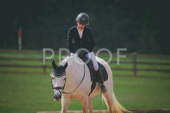 RWP_3514