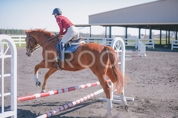 JJS_0929