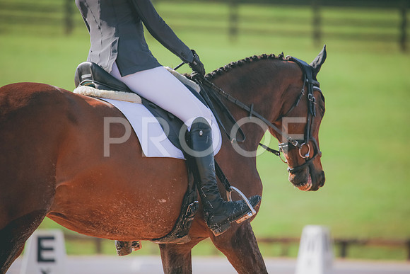 RWP_3121