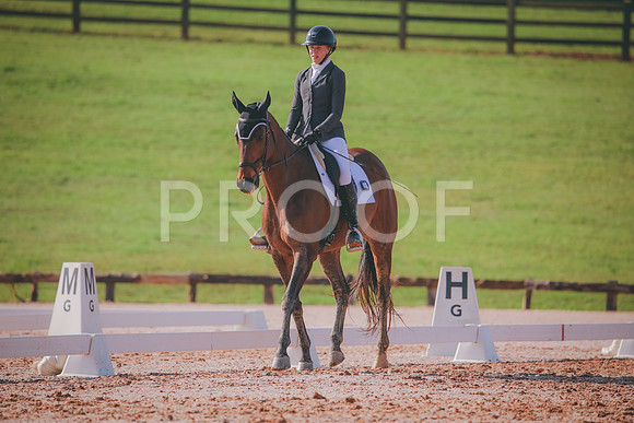 RWP_3119
