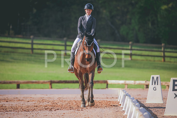 RWP_3133