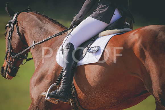 RWP_3136