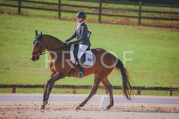 RWP_3138