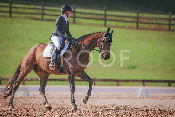 RWP_3139