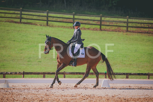 RWP_3141