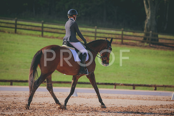 RWP_3146