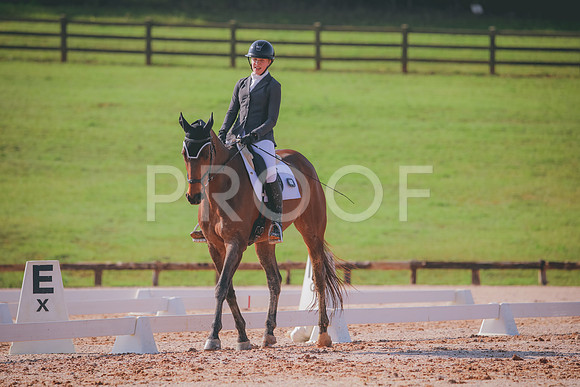 RWP_3151