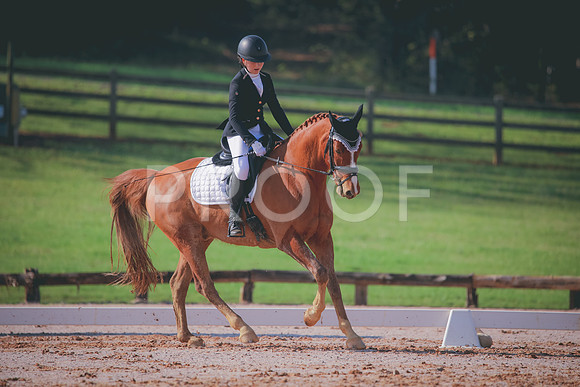 RWP_3163