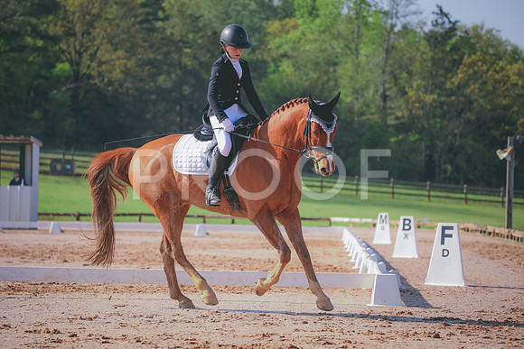 RWP_3156