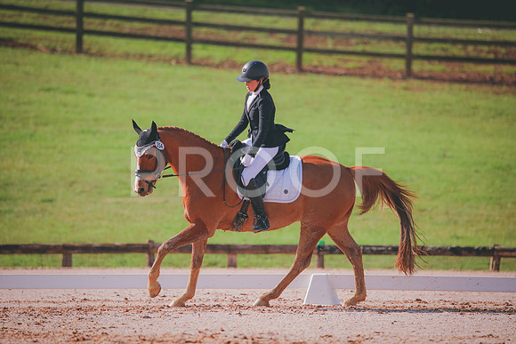 RWP_3180