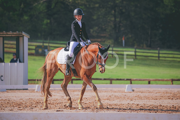 RWP_3182