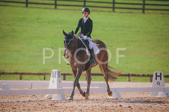 RWP_3194