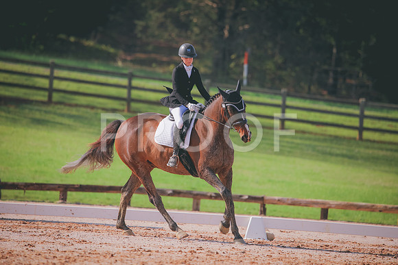 RWP_3197