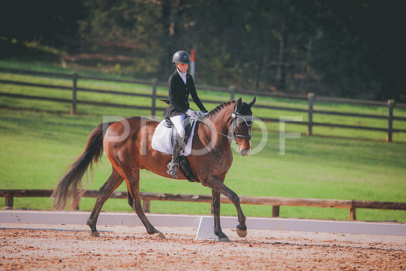 RWP_3199