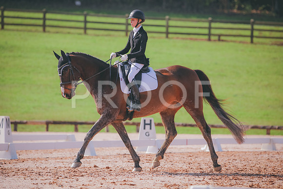 RWP_3202