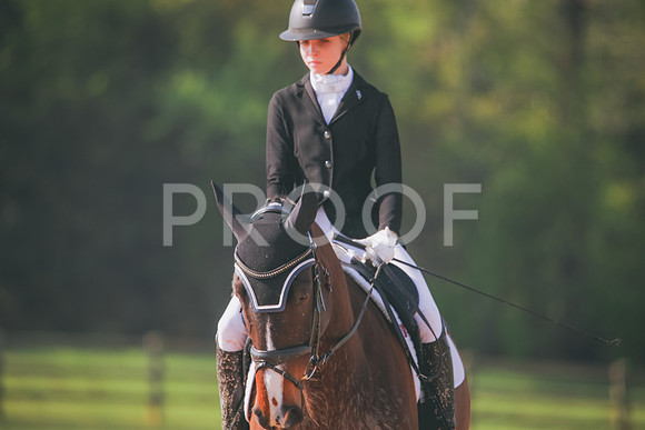 RWP_3209
