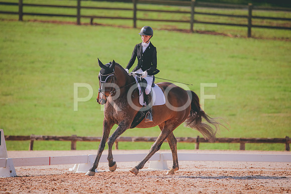 RWP_3211