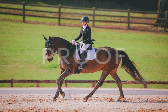 RWP_3210
